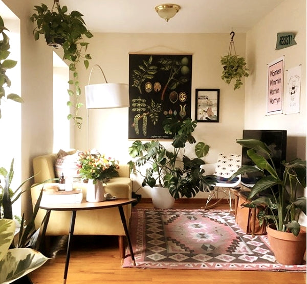 Sunny bedroom in cute and plant-filled Clinton Hill apartment. Private bedroom i New York, NY Rental unit in Brooklyn · ★5.0 · 1 bedroom · 1 bed · 1 shared bath Private room in rental unit vacation rental 16779831