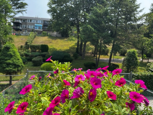 Welcome to Whitestone!<br />Free & Available Street Parking across the street (D New York, NY Townhouse in Queens · ★4.81 · 1 bedroom · 1 bed · 1 shared bath Private room in townhouse vacation rental 40790813