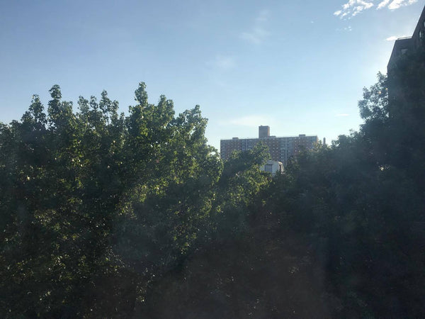 Large bedroom in an even larger apartment on a beautiful Brooklyn street. Huge a New York, NY Rental unit in Brooklyn · 1 bedroom · 1 bed · 2 shared baths Private room in rental unit vacation rental 21138554