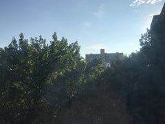 Large bedroom in an even larger apartment on a beautiful Brooklyn street. Huge a New York, NY Rental unit in Brooklyn · 1 bedroom · 1 bed · 2 shared baths Private room in rental unit vacation rental 21138554