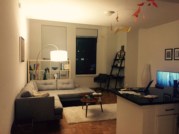 Spacious, modern apartment in the heart of the financial district with amazing v New York, NY Rental unit in New York · Studio · 1 bed · 1 bath Entire rental unit vacation rental 9901614