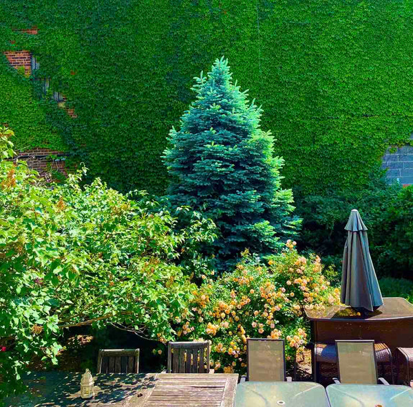 BEST Location !<br /><br />1 block walk to subway station, 25 minutes to Grand C New York, NY Home in The Bronx · ★5.0 · 3 bedrooms · 1 bed · 1.5 shared baths Private room in home vacation rental 715842881002822241