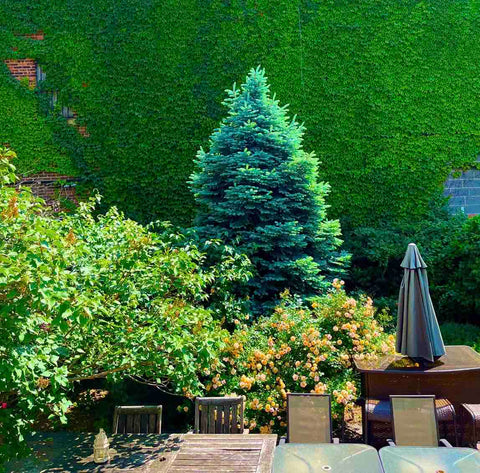 BEST Location !<br /><br />1 block walk to subway station, 25 minutes to Grand C New York, NY Home in The Bronx · ★5.0 · 3 bedrooms · 1 bed · 1.5 shared baths Private room in home vacation rental 715842881002822241