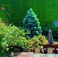 BEST Location !<br /><br />1 block walk to subway station, 25 minutes to Grand C New York, NY Home in The Bronx · ★5.0 · 3 bedrooms · 1 bed · 1.5 shared baths Private room in home vacation rental 715842881002822241