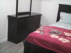 Relax with the whole family at this peaceful place to stay.  Vacation home in Queens · 1 bedroom · 1 bed · 1 shared bath Shared room in vacation home vacation rental 54055089