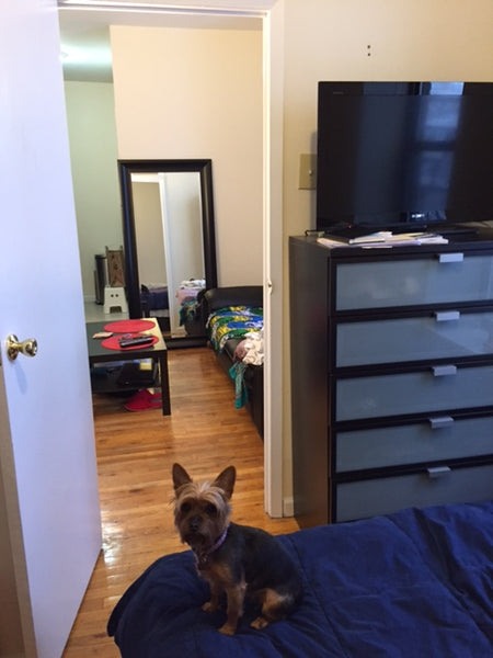True 1 bedroom apt in Gramercy. Minimum stay - 2 weeks. Partially furnished. Inf Miami Beach, FL Rental unit in New York · 1 bedroom · 1 bed · 1 bath Entire rental unit vacation rental 10822131