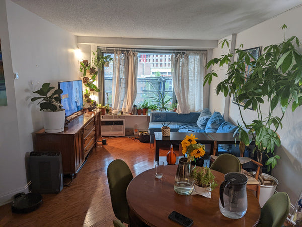 Across the street from Central Park. The Perfect place for your stay in NYC. Wit  Rental unit in New York · 2 bedrooms · 2 beds · 1 bath Entire rental unit vacation rental 793590188608283819