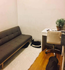 GEM! This super cozy apartment is located in the heart of the East Village. One  New York, NY Rental unit in New York · 2 bedrooms · 2 beds · 1 bath Entire rental unit vacation rental 42669190