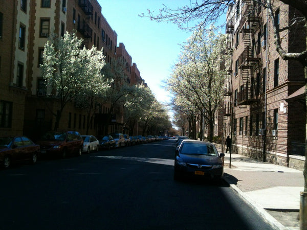 Near the Bronx Zoo & Botanical Garden. There are plenty of places to eat, shop,  New York, NY Rental unit in Bronx · 1 bedroom · 1 bed · 1 bath Entire rental unit vacation rental 2062630