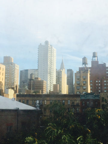 a New York, NY Rental unit in New York · Studio · 1 bed · 1 bath Entire rental unit vacation rental 9149182