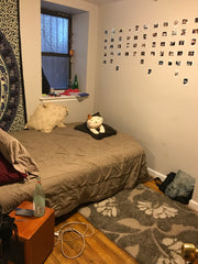 A bedroom in a 4 bedroom apartment in the East Village!<br /><br />A futon that  New York, NY Rental unit in New York · 1 bedroom · 1 bed · 1.5 shared baths Private room in rental unit vacation rental 20651206