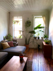 Sleep in one of the most comfortable beds you'll ever encounter in a cozy, sunli New York, NY Rental unit in Brooklyn · 1 bedroom · 1 bed · 1 shared bath Private room in rental unit vacation rental 22152232