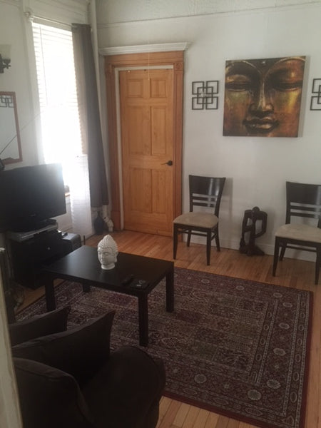 quiet cozy serene space in Brooklyn crown heights <br />close to express train a New York, NY Rental unit in Brooklyn · 1 bedroom · 1 bed · 1 bath Entire rental unit vacation rental 12764378