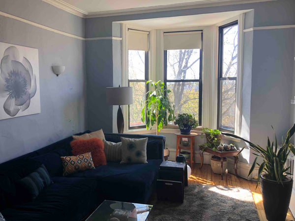 Bright, sunny, stylishly furnished four room railroad flat in the heart of Park   Condo in Brooklyn · 1 bedroom · 1 bed · 1 bath Entire condo vacation rental 624643775819549312