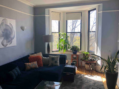 Bright, sunny, stylishly furnished four room railroad flat in the heart of Park   Condo in Brooklyn · 1 bedroom · 1 bed · 1 bath Entire condo vacation rental 624643775819549312