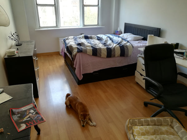 My place is good for couples and solo adventurers. New York, NY Rental unit in New York · 1 bedroom · 1 bed · 1 shared bath Private room in rental unit vacation rental 7730865