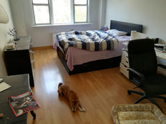 My place is good for couples and solo adventurers. New York, NY Rental unit in New York · 1 bedroom · 1 bed · 1 shared bath Private room in rental unit vacation rental 7730865