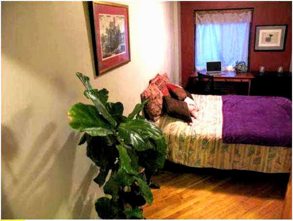 Private sunny bedroom in new building.<br />Located in a great part of the East   Rental unit in New York · ★5.0 · 1 bedroom · 1 bed · 1 shared bath Private room in rental unit vacation rental 48045041