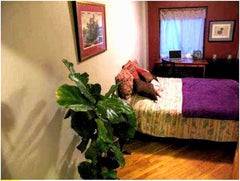 Private sunny bedroom in new building.<br />Located in a great part of the East   Rental unit in New York · ★5.0 · 1 bedroom · 1 bed · 1 shared bath Private room in rental unit vacation rental 48045041