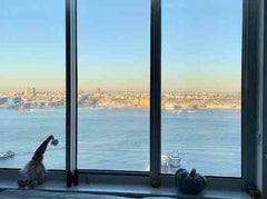 You will be close to everything when you stay at this luxury centrally-located p New York, NY Condo in New York · 2 bedrooms · 3 beds · 2 baths Entire condo vacation rental 580933073856714237