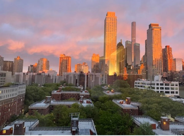 Peaceful and centrally-located large studio. Steps away from Lincoln Center and  New York, NY Rental unit in New York · Studio · 2 beds · 1 bath Entire rental unit vacation rental 952798329936840147