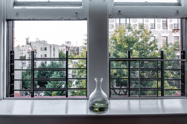 Sun drenched 2 bedroom duplex apt in a Brownstone on a tree lined street.  15-mi New York, NY Rental unit in New York · ★5.0 · 2 bedrooms · 4 beds · 1 bath Entire rental unit vacation rental 42337079