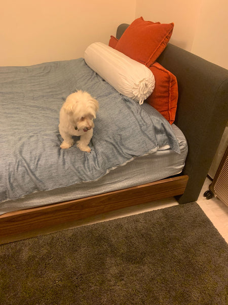 Great small cute place for weekend getaway Singapore Rental unit in New York · 1 bedroom · 1 bed · 1 shared bath Private room in rental unit vacation rental 36413532