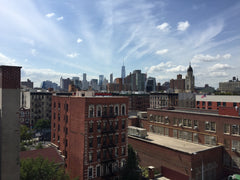 Private room with a queen sized bed, personal closet, and roof access! <br /><br New York, NY Rental unit in New York · ★4.58 · 1 bedroom · 1 bed · 1 shared bath Private room in rental unit vacation rental 8569534