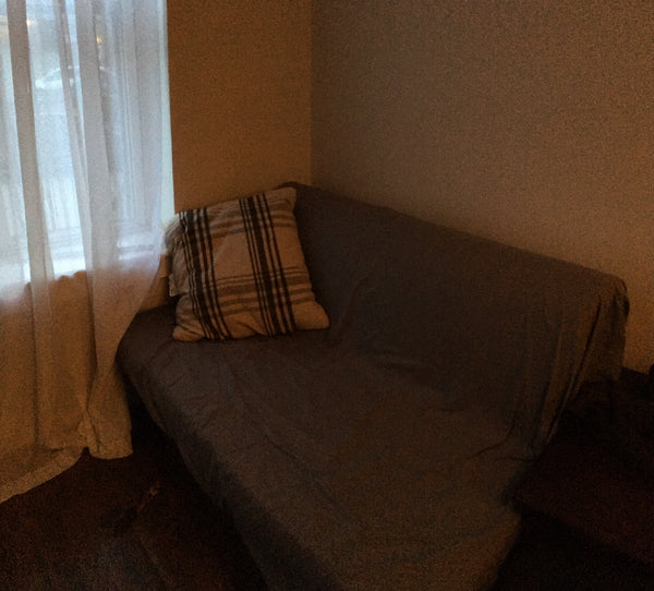 Sleeper sofa. Privacy.  Access to stainless steel fridge, appliances, 1.5 bathro Murfreesboro, TN Rental unit in Brooklyn · 1 bedroom · 1 bed · 1.5 shared baths Shared room in rental unit vacation rental 10102206
