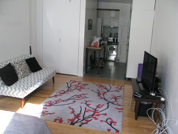 My big, sunny studio is available for a few weeks in Nov. while I am traveling.  New York, NY Rental unit in New York · ★4.83 · 1 bedroom · 1 bed · 1 bath Private room in rental unit vacation rental 7593985