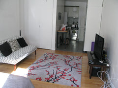 My big, sunny studio is available for a few weeks in Nov. while I am traveling.  New York, NY Rental unit in New York · ★4.83 · 1 bedroom · 1 bed · 1 bath Private room in rental unit vacation rental 7593985