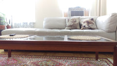 Located between the J and M trains in Bushwick, walking distance to Bossa Nova C New York, NY Rental unit in Brooklyn · 1 bedroom · 1 bed · 1 bath Entire rental unit vacation rental 7932428