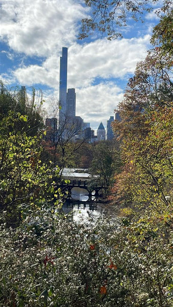 Beautiful apartment, recommended for 1-2 people, central. New York, NY Rental unit in New York · 2 bedrooms · 1 bed · 1 bath Entire rental unit vacation rental 816693930212687676