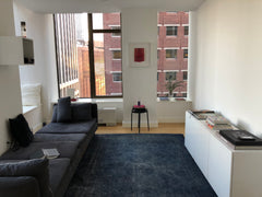 Amazing apartment. Great building on Water & Hanover. Next to all subways. Big w  Rental unit in New York · ★4.36 · 2 bedrooms · 2 beds · 2 baths Entire rental unit vacation rental 29701921