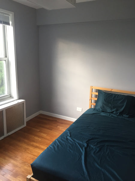 One bedroom within a two bedroom apartment, closet within room.. shared living r New York, NY Rental unit in Queens · 1 bedroom · 1 bed · 1 shared bath Private room in rental unit vacation rental 20464496