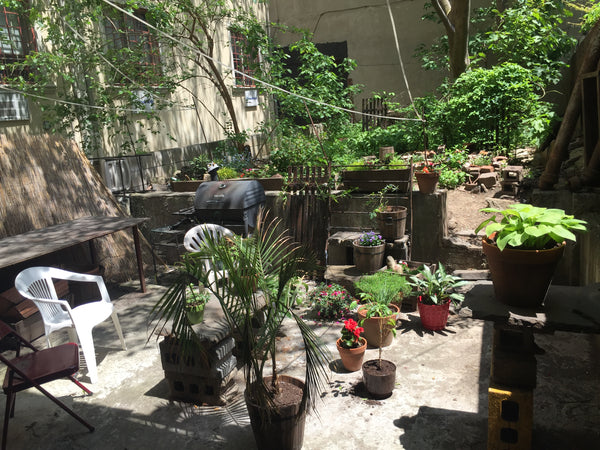 This is a clean and friendly 2-bedroom/1 bathroom apartment with a spacious back New York, NY Rental unit in Brooklyn · 1 bedroom · 1 bed · 1 bath Private room in rental unit vacation rental 13109949