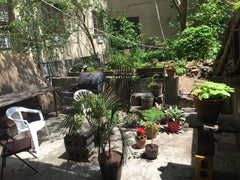 This is a clean and friendly 2-bedroom/1 bathroom apartment with a spacious back New York, NY Rental unit in Brooklyn · 1 bedroom · 1 bed · 1 bath Private room in rental unit vacation rental 13109949