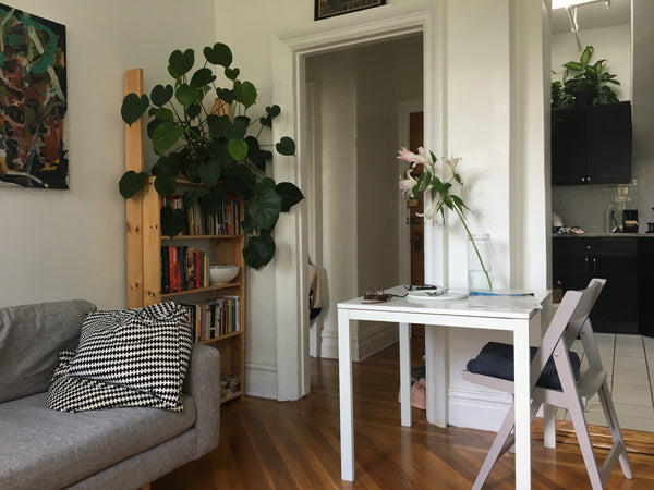 Light-filled, high-ceilinged 1BR brownstone apartment in the heart of historical New York, NY Rental unit in Brooklyn · 1 bedroom · 1 bed · 1 bath Entire rental unit vacation rental 21736164
