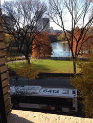 Apt is in SOUTHWEST HARLEM, NOT EAST HARLEM. Apt is at southern tip of Harlem: C New York, NY Rental unit in New York · ★4.36 · 1 bedroom · 1 bed · 1 private bath Private room in rental unit vacation rental 33662914