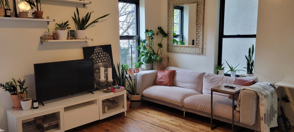 Peaceful studio apt. Freshly painted, well maintained perfect for plant lovers.  New York, NY Rental unit in Brooklyn · ★4.62 · Studio · 1 bed · 1 bath Entire rental unit vacation rental 1457505