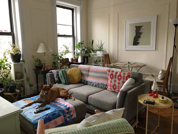 Hello! Please join us in our new 2nd floor apt with an extra guest bedroom. Its  New York, NY Rental unit in New York · ★4.90 · 1 bedroom · 1 bed · 1 bath Private room in rental unit vacation rental 17134357