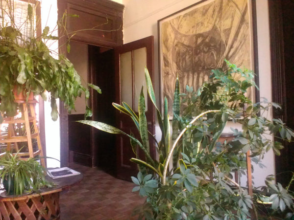 This 1800's style apartment with high ceilings, woodwork, fireplace, exposed bri New York, NY Rental unit in Brooklyn · ★4.81 · 1 bedroom · 1 bed · 1 shared bath Private room in rental unit vacation rental 2922197
