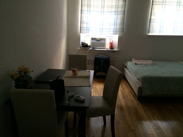 It is a very clean apt. You will have a dishwasher machine and a refrigerator. New York, NY Rental unit in New York · Studio · 1 bed · 1 bath Entire rental unit vacation rental 25971027