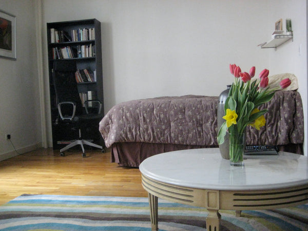 My cozy apartment has high ceilings, lots of space, and all the luxuries. It is  New York, NY Rental unit in New York · Studio · 1 bed · 1 bath Entire rental unit vacation rental 6506449