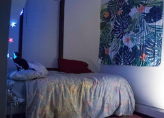 Hey interested booker! <br />We just moved into Bushwick and the spare room happ New York, United States Rental unit in Brooklyn · 1 bedroom · 2 beds · 1 shared bath Private room in rental unit vacation rental 21867771