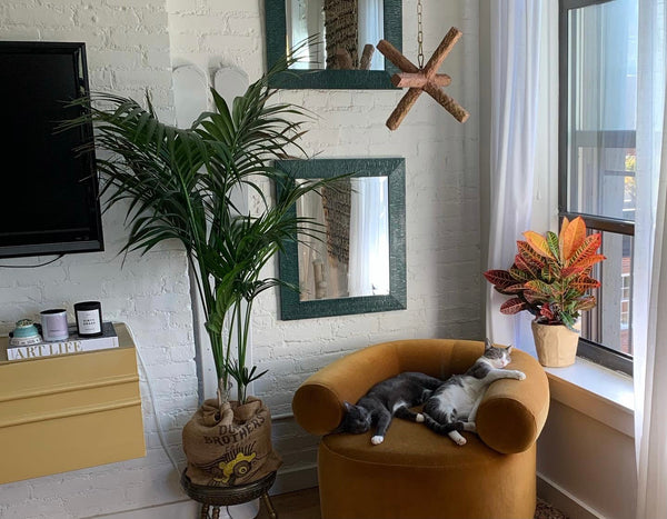 Live your best NYC life a la Carrie Bradshaw in our super cute and peaceful sun  New South Wales, Australia Rental unit in New York · 1 bedroom · 1 bed · 1 bath Entire rental unit vacation rental 53507277
