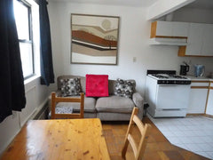 Lovely sunny studio in beautiful Clinton Hill. Close to supermarkets, restaurant  Rental unit in Brooklyn · ★4.92 · Studio · 1 bed · 1 bath Entire rental unit vacation rental 43749311