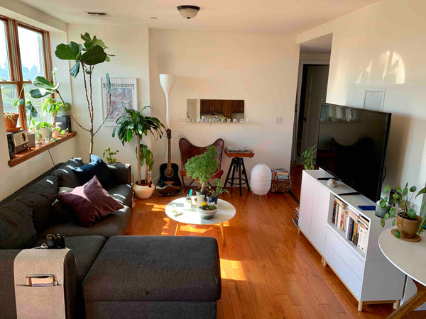 This is a beautiful apartment in East Williamsburg and its a great choice for a  New York, NY Rental unit in Brooklyn · ★5.0 · 2 bedrooms · 2 beds · 1 private bath Private room in rental unit vacation rental 38104983
