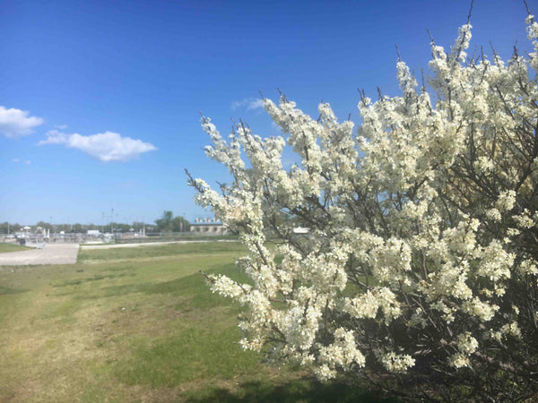 The house is on the second floor of the wilderness. There are many free parking   Rental unit in Queens · 3 bedrooms · 4 beds · 3 baths Entire rental unit vacation rental 34362400