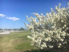 The house is on the second floor of the wilderness. There are many free parking   Rental unit in Queens · 3 bedrooms · 4 beds · 3 baths Entire rental unit vacation rental 34362400